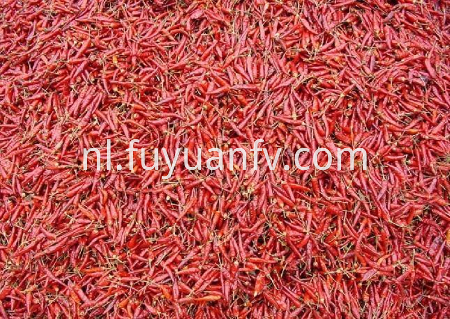 Chaotian Red Chili